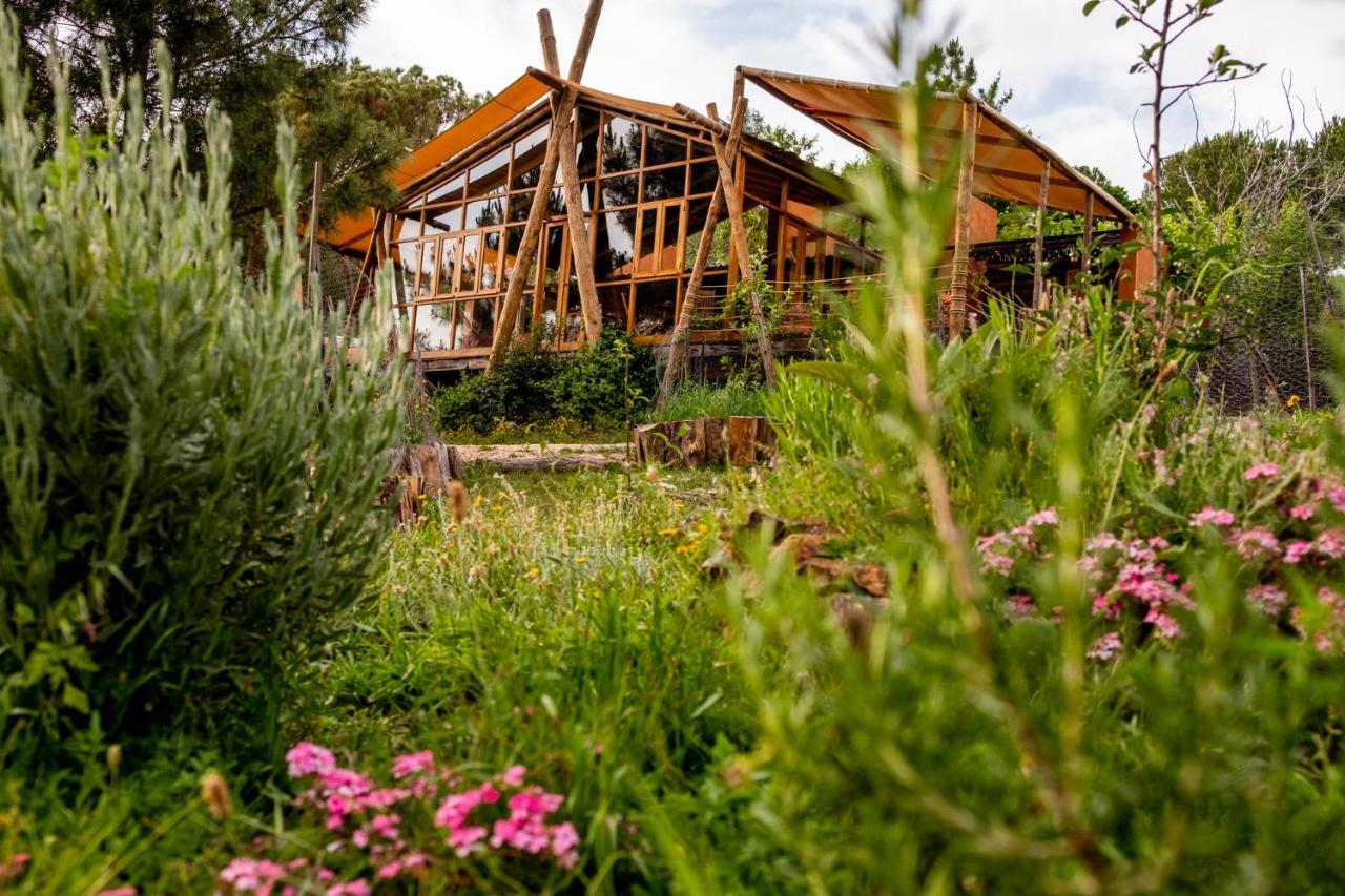 Hotel Quinta Alma - Ecological Retreat Farm à Aljezur Extérieur photo